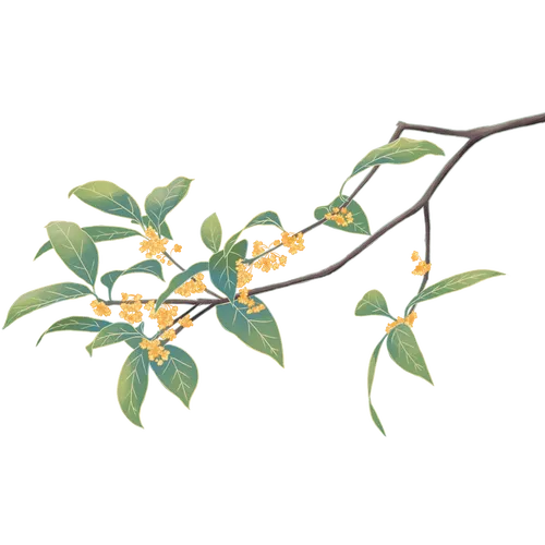 繁花绿叶小黄花植物海报