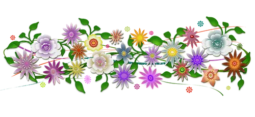 多彩花朵绽放生机盎然春日风光美图