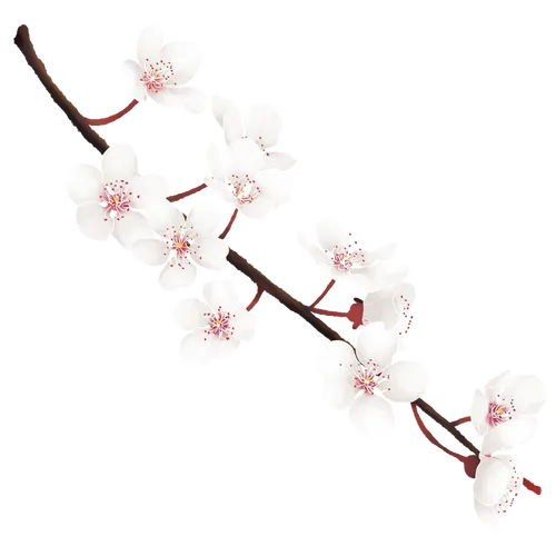 【通用类型】欢迎投稿！长期收各类原创小元素（仅限插画师领取）
