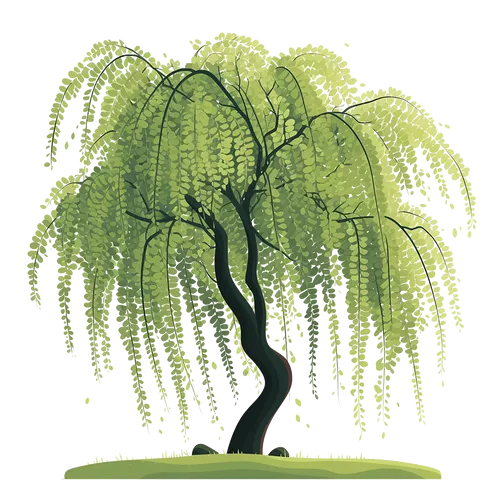 【AIGC素材】立春柳树素材
