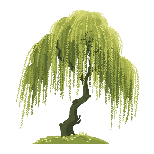 【AIGC素材】立春柳树素材